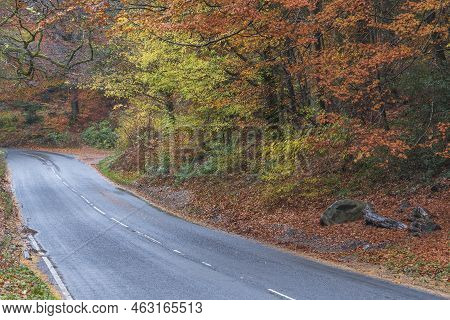 Beautiful Landscape Image Of Road Winding Through Vibrant Autumn Dodd Woods Forest In Lake District