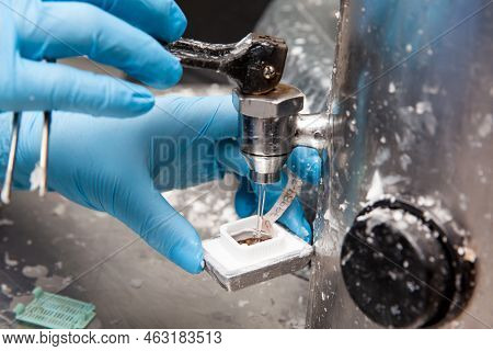 Scientist Embedding Tissues In Paraffin Blocks For Sectioning Using A Paraffin Dispenser. Pathology 