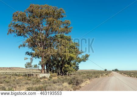 A Landscape, With A Windmill, Dam And Large Trees, On The Road Between Loxton And Fraserburg In The 