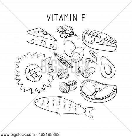 Vitamin F Linoleic Linolenic Acid. Groups Of Healthy Products Containing Vitamins. Set Of Fruits, Ve