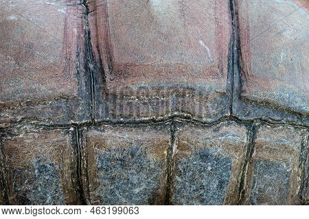 Close-up Of Turtle Shell Pattern, Aldabra Giant Tortoise (aldabrachelys Gigantea)
