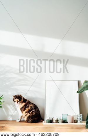 Modern Minimalist Style Interior With White Poster Mockup, Candles And Relaxed Cat On A Wooden Conso