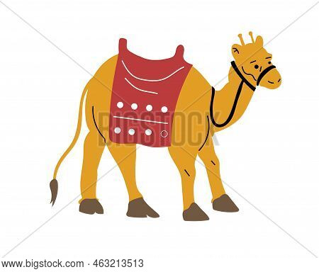 Camel Vector Or Illustration Animals Logo Drawing 3d Graphics Pets Wildlife Colorful Single Camel Si