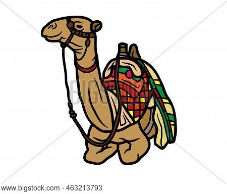 Camel Vector Or Illustration Animals Logo Drawing 3d Graphics Pets Wildlife Colorful Single Camel Si