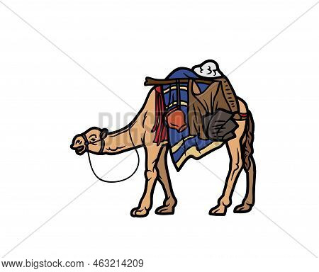 Camel Vector Or Illustration Animals Logo Drawing 3d Graphics Pets Wildlife Colorful Single Camel Si