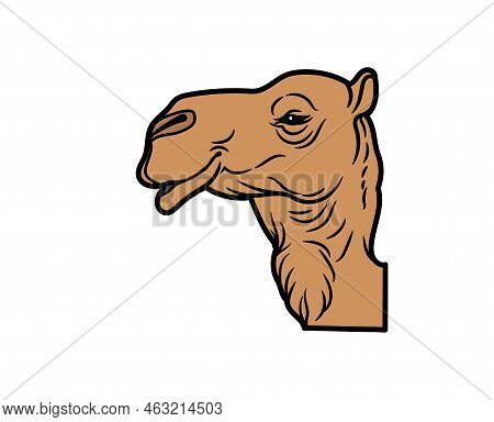 Camel Vector Or Illustration Animals Logo Drawing 3d Graphics Pets Wildlife Colorful Single Camel Si
