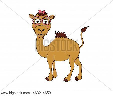 Camel Vector Or Illustration Animals Logo Drawing 3d Graphics Pets Wildlife Colorful Single Camel Si