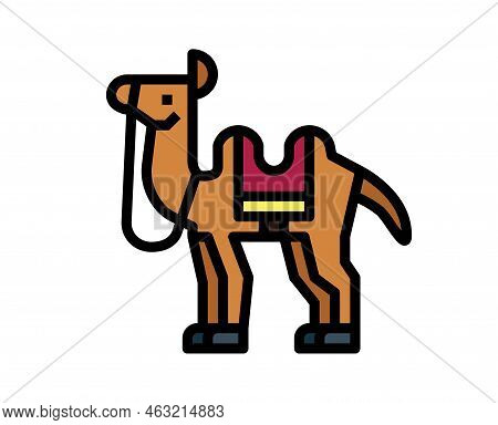 Camel Vector Or Illustration Animals Logo Drawing 3d Graphics Pets Wildlife Colorful Single Camel Si