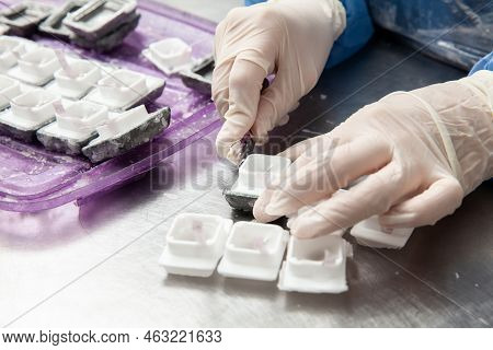 Scientist Preparing Paraffin Blocks Containing Biopsy Tissue For Sectioning. Pathology Laboratory. C