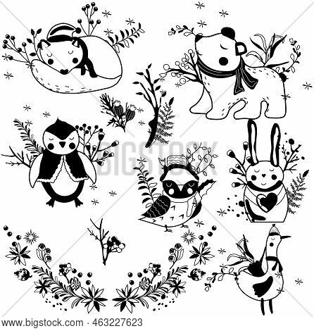 Black And White A Sleeping Wolf In A Hat, Cute Arctic Penguin, Funny Arctic Bear, Winter Wreath, Goo