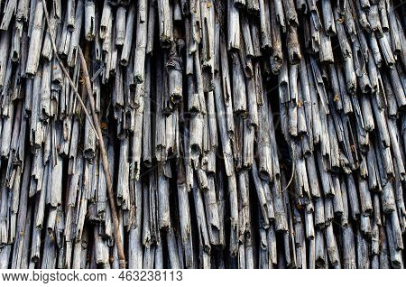 The Thatched Roof Texture Of An Old House
Old Straw Faded In The Sun As A Material For The Roof. Tro