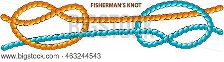 Fishermans Knot Isolated On White. Binding And Fastening Unit For Permanent Bracing. Modification Of