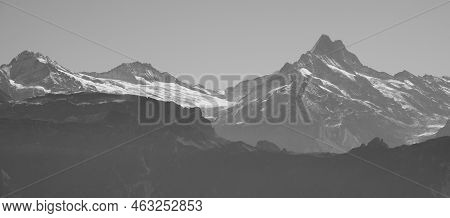 Mount Schreckhorn And Upper Grindelwald Glacier. Swiss Alps.