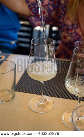 Drinking Of Txakoli Or Chacolí Slightly Sparkling Very Dry White Wine Produced In Spanish Basque Cou