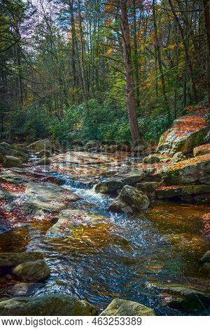 A Woosland Stream During Autumn In Lake Minnewaska Park And Preserve In New Paltz New York.