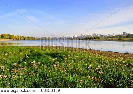 Flowers On The Banks Of The Ob. Morning Over The Waters Of The River, A Big City With Bridges On The