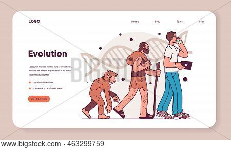 Human Evolution Stages. Evolutionary Development From Primate