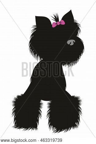 Yorkshire Terrier. Yorkshire Terrier. Dog Yorkshire Terrier For Graphic, Content, Etc