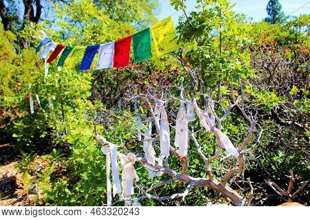 October 5, 2022 In Mt Shasta, Ca:  Tibetan Prayer Flags Hanging On Trees And Chaparral Plants Taken 