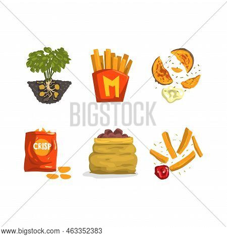French Fries, Crunchy Crisps Or Chips, Sack Of Raw Crop As Potato Food Vector Set