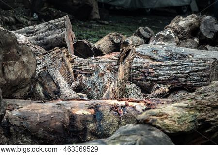 A Pile Of Cut Wooden Logs, Cut Down Tree Trunks Sawed And Ready For Production Or To Be Used As Fire