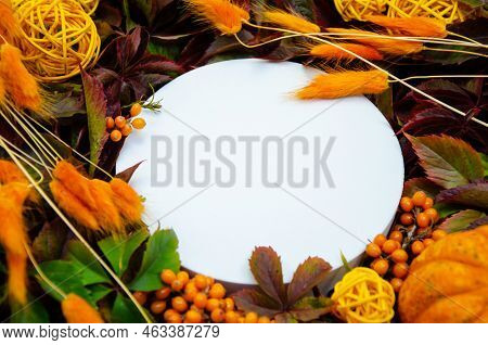 White Round Close-up Horizontal  Copyspace On  Replete Bright Background Of Yellow And Orange Leaves