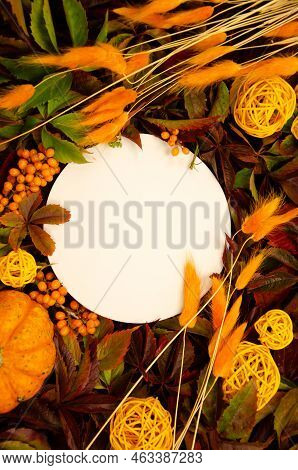 White Round  Copyspace On  Replete Bright Background Of Yellow And Orange Leaves, Orange Dried Flowe