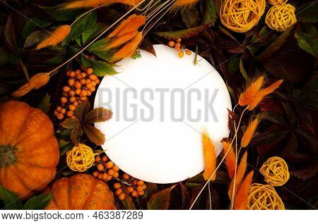 White Round Close-up Copyspace On  Replete Dark Background Of Yellow And Orange Leaves, Orange Dried