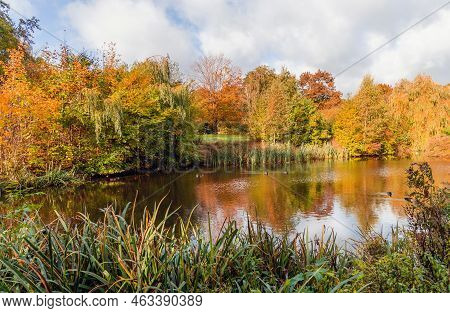 Beautiful Colorful Autumn Lake Surrounded By Autumn Follage. Autumn Background.