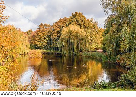 Beautiful Colorful Autumn Lake Surrounded By Autumn Follage. Autumn Background.