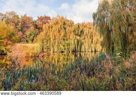 Beautiful Colorful Autumn Lake Surrounded By Autumn Follage. Autumn Background.