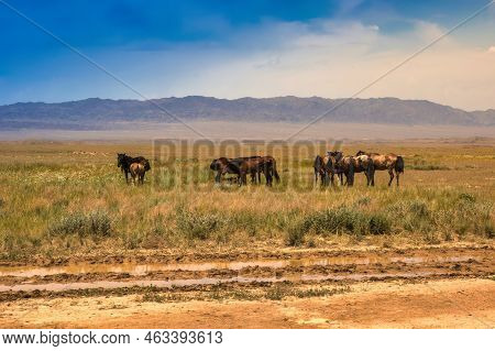 Almaty, Kazachstan - June 16 2017 :beautiful Landscape Of Steppe And Stone Mountains Along The Road 