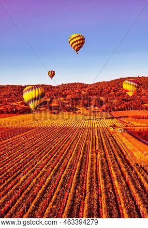 Napa, United States - February 17 2013 : An Aerial View Of Vine Yard Fields In Napa During A Hot Air