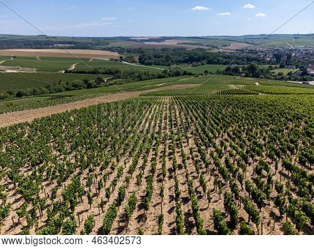 Aerial View On Chablis Grand Cru Appellation Vineyards With Grapes Growing On Limestone And Marl Soi