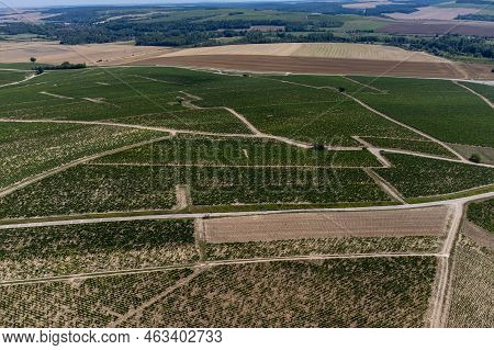 Aerial View On Chablis Grand Cru Appellation Vineyards With Grapes Growing On Limestone And Marl Soi