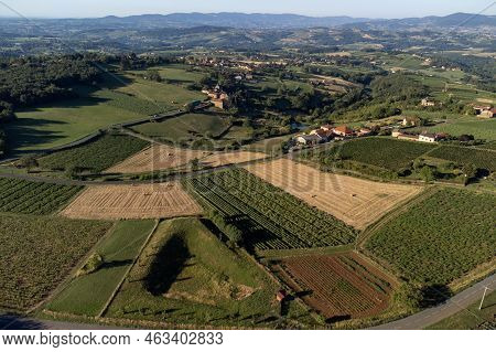 Landscape With Vineyards Near Beaujolais Wine Making Village Val D'oingt, Gateway To Beaujolais Wine