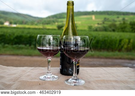 Tasting Of Red Dry Pinot Noir Wine In Glass On Premier And Grand Cru Vineyards In Burgundy Wine Maki