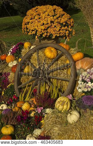 Stuttgart, Germany, 31 October 2019. Autumn Installation Of Flowers And Fruits At The Halloween At T