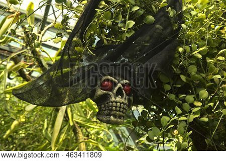 Stuttgart, Germany, 31 Oktober 2019. Halloween Celebration At The Wilhelma  Zoo In Stuttgart, German