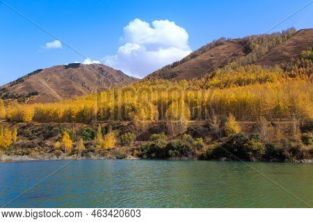 Mountain Lake With Yellow Trees. Autumn Landscape. Kyrgyzstan, Ak-tuz Gorge. Natural Background.