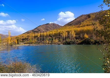 Mountain Lake With Yellow Trees. Autumn Landscape. Kyrgyzstan, Ak-tuz Gorge.