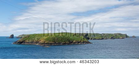 เกาะ Skomer ชาวเวลส์