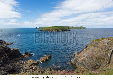 เวลส์ Skomer Pembrokeshire ตะวันตก
