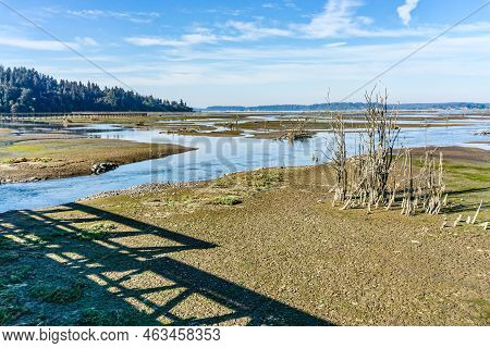 A View Of The Nisqually Wetlands In Washington State. Landscape Photo.