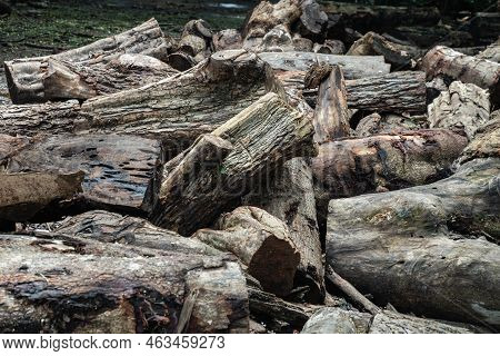A Pile Of Cut Wooden Logs, Cut Down Tree Trunks Sawed And Ready For Production Or To Be Used As Fire