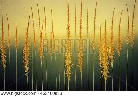 Abstract Natural Background Of Soft Plants Cortaderia Selloana. Pampas