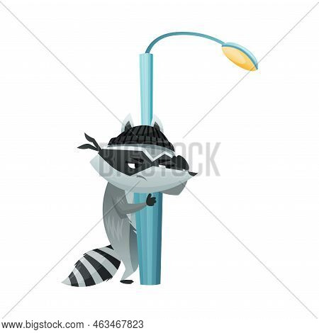 Raccoon Burglar Vector & Photo (Free Trial) | Bigstock