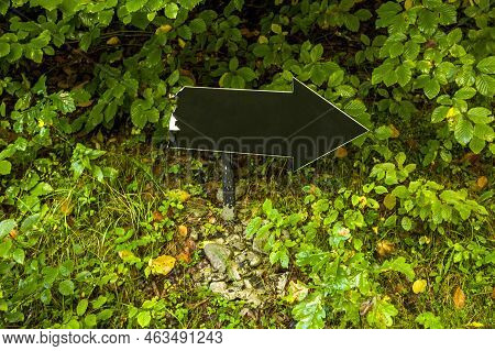 Close-up Of A Black Emprty Pointer Arrow In The Forest
