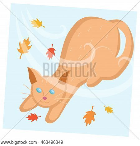 Cute Domestic Ginger Cat In The Cold Autumn Weather, Playing With Leaves. Seasonal Decorative Art Fo