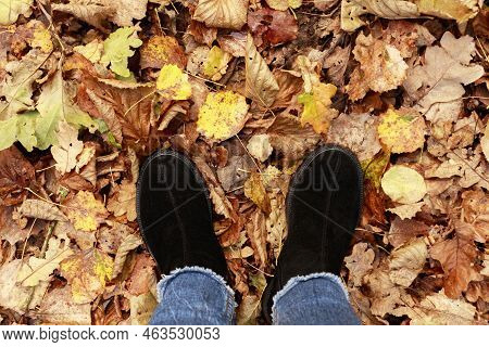Conceptual Image Of Legs In Boots On The Autumn Leaves. Feet Shoes Walking In Nature. Autumn Backgro